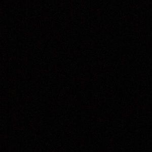 Meet your Posher, Charlotte